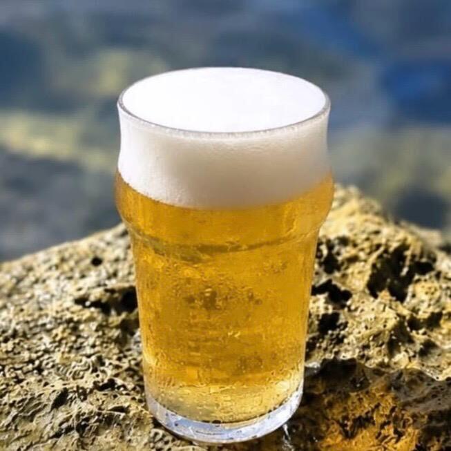 NuFu Pint